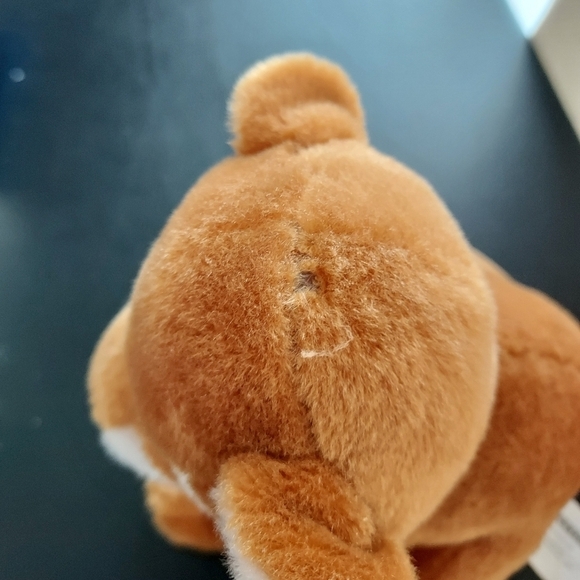 Scholastic Books Plush Lion Cub Light Brown 6in 2016 - Picture 4 of 9